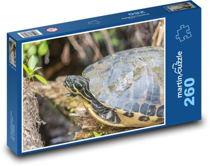 Żółw - gad, zwierzę - Puzzle 260 elementów, rozmiar 41x28,7 cm