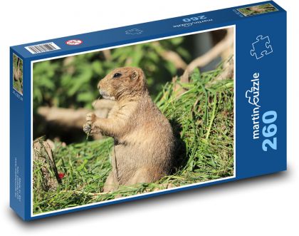 Pies preriowy - zwierzę, gryzoń - Puzzle 260 elementów, rozmiar 41x28,7 cm