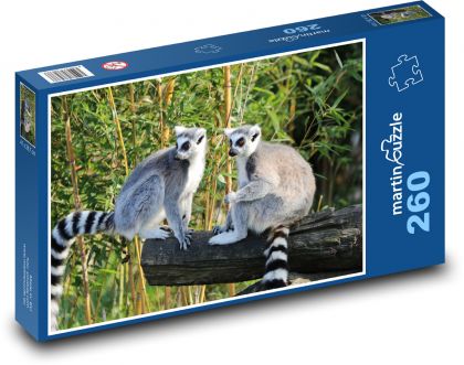 Lemur - Madagaskar, opice - Puzzle 260 dílků, rozměr 41x28,7 cm