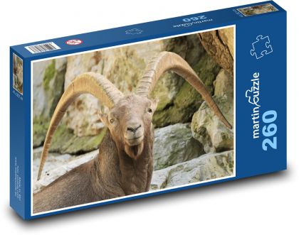 Kozoroh - zvíře, savec - Puzzle 260 dílků, rozměr 41x28,7 cm