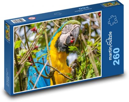Exotický papoušek - pták, zvíře - puzzle 260 dílků