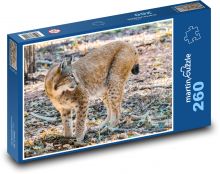 Lynx - veľká mačka, zviera Puzzle 260 dielikov - 41 x 28,7 cm