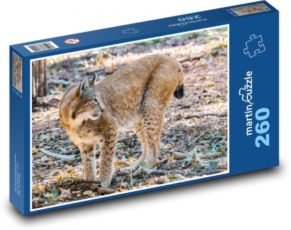 Ryś - duży kot, zwierzę - Puzzle 260 elementów, rozmiar 41x28,7 cm