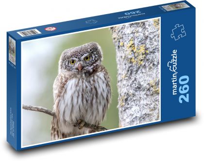 Eule auf einem Ast - Vogel, Tier - Puzzle - 260 Teile