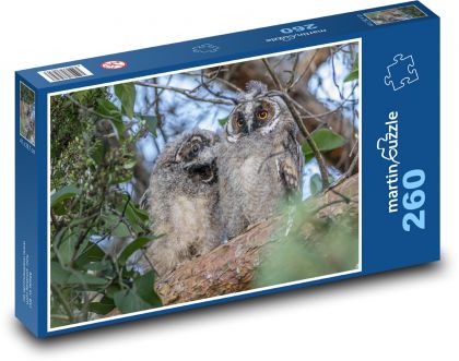 Bass - dravý vták, sova - Puzzle 260 dielikov, rozmer 41x28,7 cm