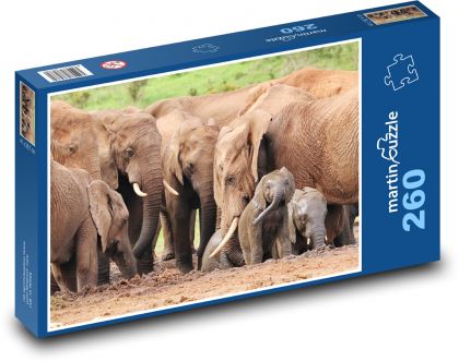 Sloni - stádo zvířat, savana - Puzzle 260 dílků, rozměr 41x28,7 cm