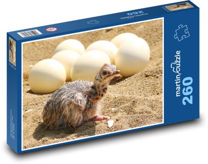 Pštros - mládě, vejce - Puzzle 260 dílků, rozměr 41x28,7 cm