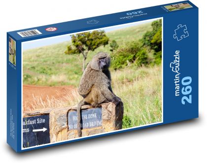 Affe - Savanne, Kenia - Puzzle - 260 Teile