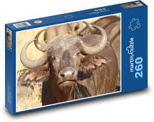 Buffalo - Južná Afrika, zviera Puzzle 260 dielikov - 41 x 28,7 cm 