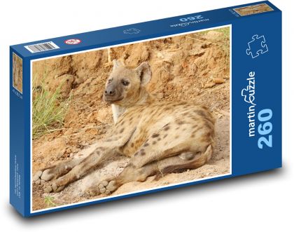 Hyena - masožravec, Afrika - Puzzle 260 dílků, rozměr 41x28,7 cm