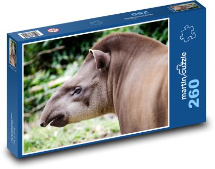 Tapir - animal, South America - Puzzle 260 pieces, size 41x28.7 cm 