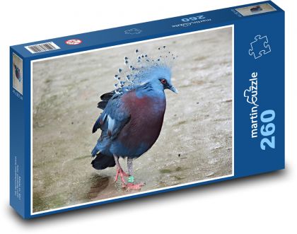 Vták - holub, zviera - Puzzle 260 dielikov, rozmer 41x28,7 cm