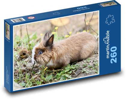 Zakrslý králík - savec, býložravec - Puzzle 260 dílků, rozměr 41x28,7 cm