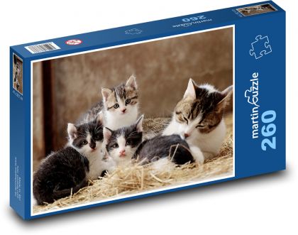 Kočičí rodina - kotě, mazlíčci - Puzzle 260 dílků, rozměr 41x28,7 cm