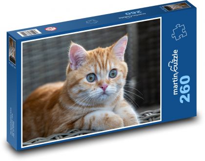 Cat - meal, animal - Puzzle 260 pieces, size 41x28.7 cm 