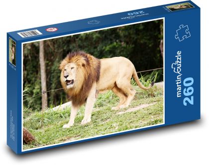 Lev - zvíře, král džungle - Puzzle 260 dílků, rozměr 41x28,7 cm