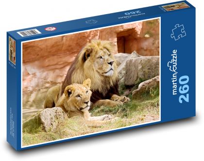 Lev - lvice, zvíře - Puzzle 260 dílků, rozměr 41x28,7 cm