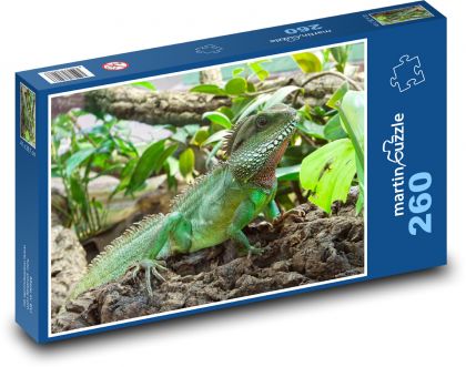 Leguan - Eidechse, Reptil - Puzzle - 260 Teile
