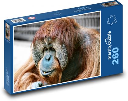 Opica - orangutan, zviera - Puzzle 260 dielikov, rozmer 41x28,7 cm