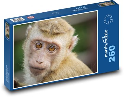 Monkey - cute, zoo - Puzzle 260 pieces, size 41x28.7 cm 