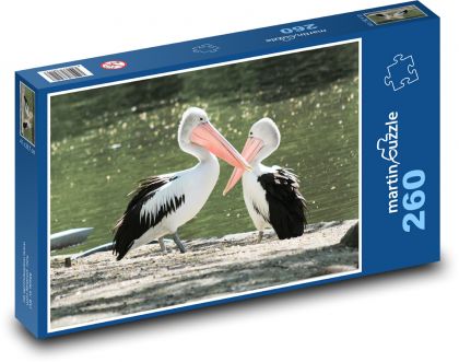 Pelican - bird, animal - Puzzle 260 pieces, size 41x28.7 cm 