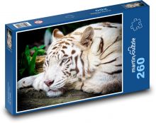 Tiger - Albino, Großkatze Puzzle 260 Teile - 41 x28,7 cm