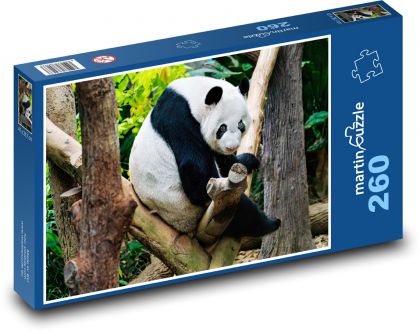 Panda - zvíře, zoo - Puzzle 260 dílků, rozměr 41x28,7 cm