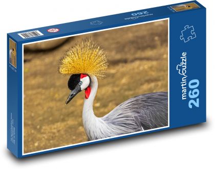 Crane - bird, animal - Puzzle 260 pieces, size 41x28.7 cm 