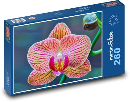 Orchidej - květina, květ - Puzzle 260 dílků, rozměr 41x28,7 cm