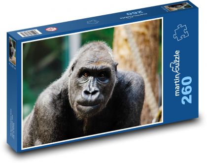 Gorila - opica, primát - Puzzle 260 dielikov, rozmer 41x28,7 cm