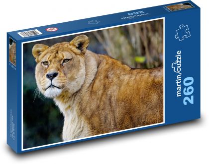 Levica - lev, dravec - Puzzle 260 dielikov, rozmer 41x28,7 cm