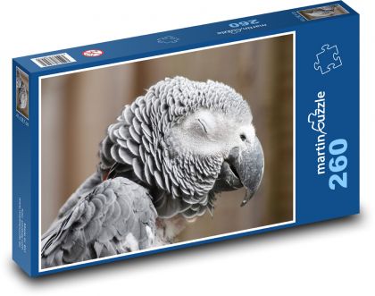 Papagáj sivý - vták, zviera - Puzzle 260 dielikov, rozmer 41x28,7 cm
