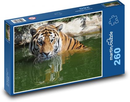 Tygr ve vodě - zvíře, savec - Puzzle 260 dílků, rozměr 41x28,7 cm