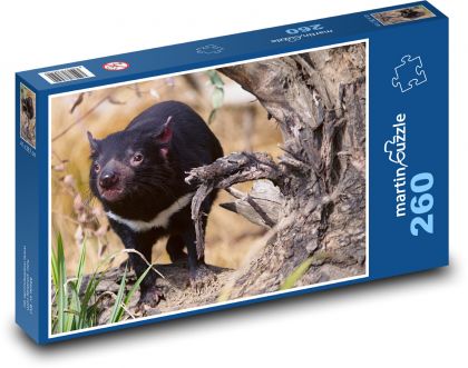 Ďábel medvědovitý - zvíře, savec - Puzzle 260 dílků, rozměr 41x28,7 cm
