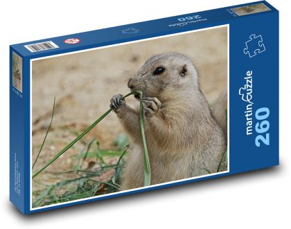 Psoun - hlodavec, zvíře - Puzzle 260 dílků, rozměr 41x28,7 cm