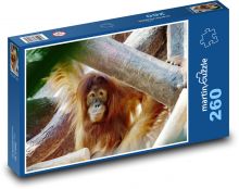 Orangutan - animal, monkey Puzzle 260 pieces - 41 x 28.7 cm 