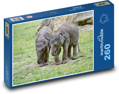 Slony - slony, mláďatá - Puzzle 260 dielikov, rozmer 41x28,7 cm