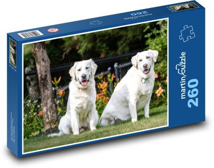Golden retriver - psy, zwierzęta domowe - Puzzle 260 elementów, rozmiar 41x28,7 cm