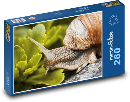 Slimák - slimák - Puzzle 260 dielikov, rozmer 41x28,7 cm