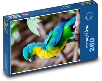 Papuga - ptak, zwierzę - Puzzle 260 elementów, rozmiar 41x28,7 cm