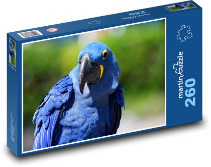 Modrý papagáj - vták, zviera - Puzzle 260 dielikov, rozmer 41x28,7 cm