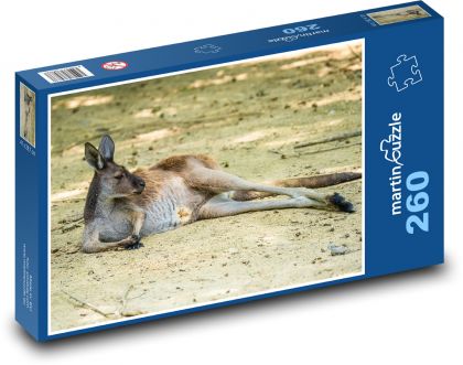 Kangaroo - animal, Australia - Puzzle 260 pieces, size 41x28.7 cm 