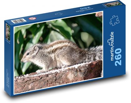 Veverička - hlodavec, zviera - Puzzle 260 dielikov, rozmer 41x28,7 cm