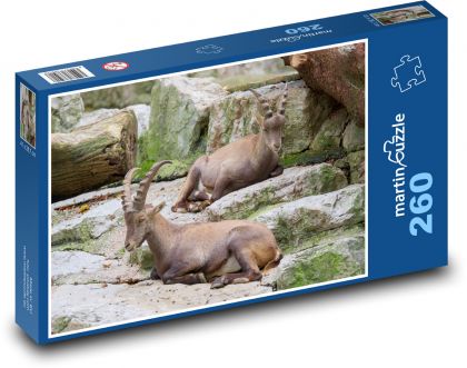 Steinbock - Tier, Felsen - Puzzle - 260 Teile