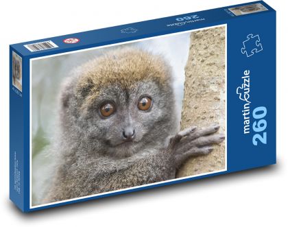Lemur - zvíře, primát - Puzzle 260 dílků, rozměr 41x28,7 cm