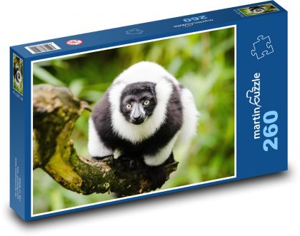 Lemur - zblízka, zvíře - Puzzle 260 dílků, rozměr 41x28,7 cm