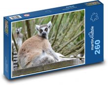 Lemur madagaskarski - zwierzęcy, ssak Puzzle 260 elementów - 41x28,7 cm