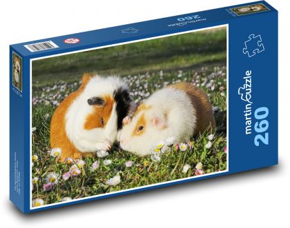 Morče - sedmikrásky, zvířata - puzzle 260 dílků