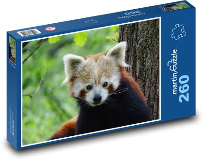Panda červená - zviera, zoo - Puzzle 260 dielikov, rozmer 41x28,7 cm