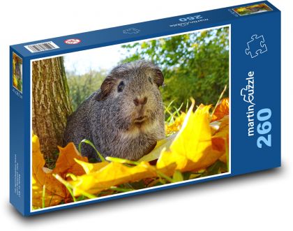Morče - podzim, zvíře - Puzzle 260 dílků, rozměr 41x28,7 cm